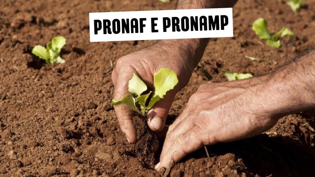 Pronaf e Pronamp