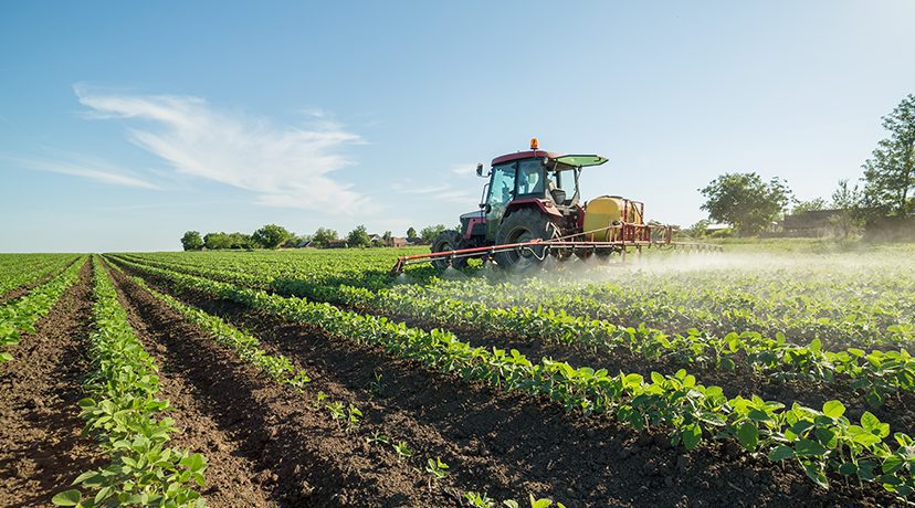 Caixa Agrícola